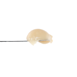 Mclaren Rosin | SimplyMary