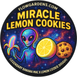 Miracle Lemon Cookies : CBD Small Batch