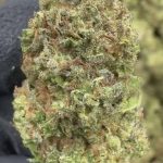 Mule Fuel - THCA FLOWER - TOP SHELF