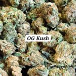 OG Kush Indoor THCa Hemp Flower Smalls