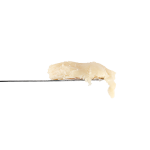 Papaya Bomb THCa Rosin | Bryantist