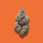 Permanent Chimera THCA