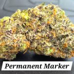 Permanent Marker THCa Hemp Flower