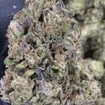 Pink Certz - THCA FLOWER - AA INDOOR