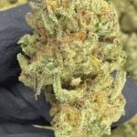 Platinum Gushers - THCA FLOWER - TOP SHELF