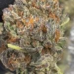 Platinum OG - THCA FLOWER - CLASSIC RESERVE