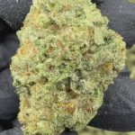 Purple Push Pop - THCA FLOWER - TOP SHELF