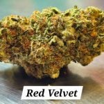 Red Velvet THCa Hemp Flower
