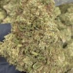 Silver Haze Kush - THCA FLOWER - CLASSIC RESERVE