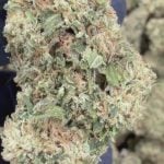 Sour Gary - THCA FLOWER - TOP SHELF