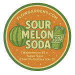 Sour Melon Soda : Small Batch