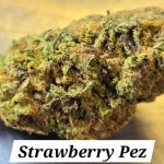 Strawberry Pez THCa Hemp Flower