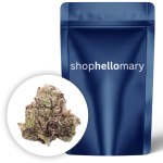 Stuffed Cherry Gelato Premium - Shop Hello Mary