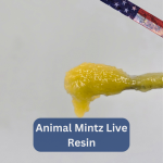 Animal Mintz Live Resin | 95% THCa