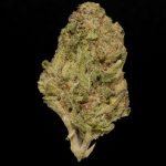 Apple Tartz - 23% THCA Indoor Hemp Flower