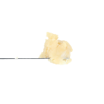 Banana Wilson Rosin | SimplyMary