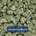 Blueberry Greenhouse Smalls | 29%