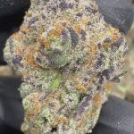 Cadillac Rainbow - THCA - EXOTIC INDOOR