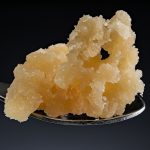 Cured Resin