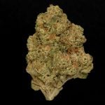 Gary P. - 29% THCA Indoor Hemp Flower
