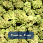 Hawaiian Haze Smalls | 32%