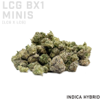 LCG Bx1 Minis