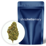 RS11 Premium - Shop Hello Mary