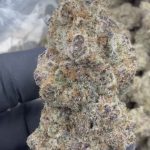 Sub Zero - THCA FLOWER - EXOTIC INDOOR