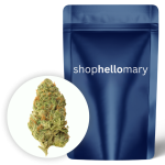 Sunset Sherbet ~ Greenhouse - Shop Hello Mary