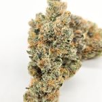Super Boof ( Indoor ) Hybrid