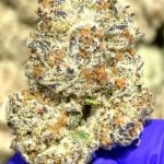 Tyson Living Soil Indoor THCa Hemp Flower