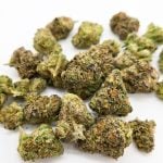 Zerealz Smalls ( Indoor ) Hybrid
