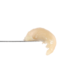 Mclaren Rosin | SimplyMary