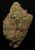 AK-47 – 20% THCA Living Soil Hemp Flower