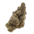 Astro 88 (THCA 30.19%)
