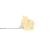 Banana Wilson Rosin | SimplyMary