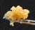 Barbara’s Pie Live Resin Sugar 1.5G – Crysp