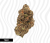 Blue Nerds THCa Flower T1 – Crysp