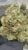 Blueberry Muffin – THCA FLOWER – TOP SHELF