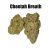 Cheetah Breath THCa Hemp Flower
