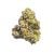 Chemdawg (Greenhouse) | Preston Herb Co