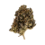 Chocolope (THCA 38.46%)