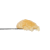 Country Rose Rosin Jam | SimplyMary