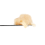 Country Rose Rosin | SimplyMary