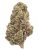 DONNY BURGER (HYBRID) | HIGH THCA FLOWER