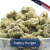 Donny Burger Smalls | 32.49% THCa
