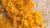 Fire OG Live Resin – 95% THCa Indica-Hybrid Concentrate