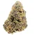 Forbidden Fruit Living Soil Indoor THCa Hemp Flower