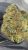 Gelato 41- THCA – TOP SHELF
