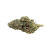 GMO Grapes THCa Flowers 28.55% Indica